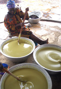 extracting shea butter